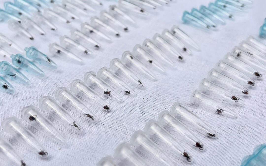 Tyrolean Government Funds TBE Study at the Institute of Virology