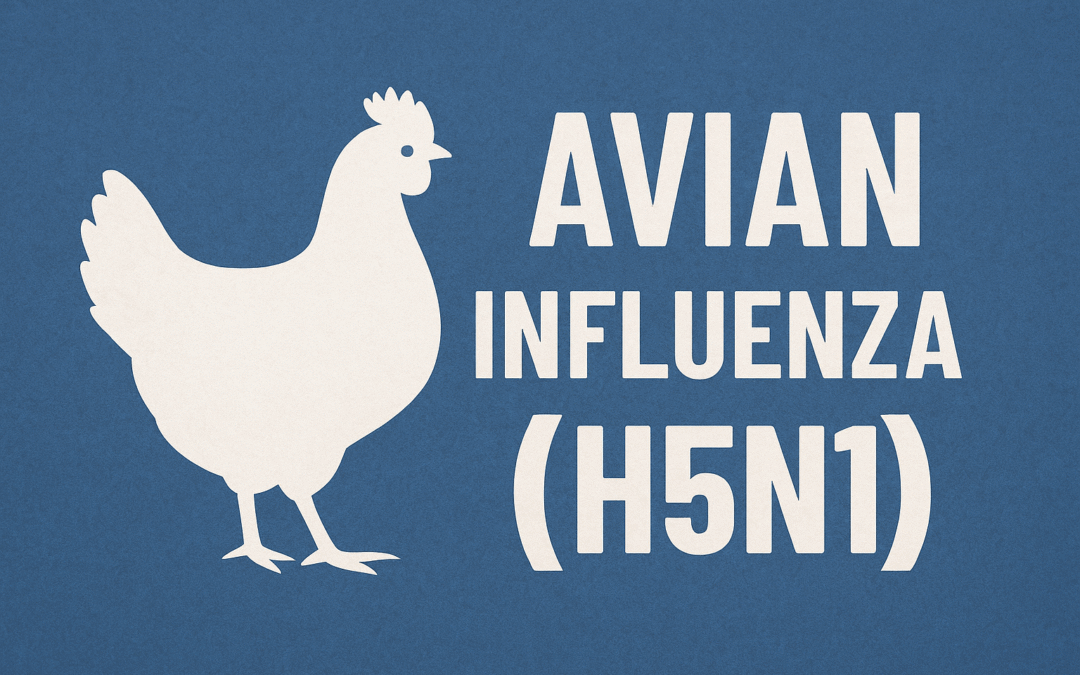 H5N1 Avian Influenza: Current Developments