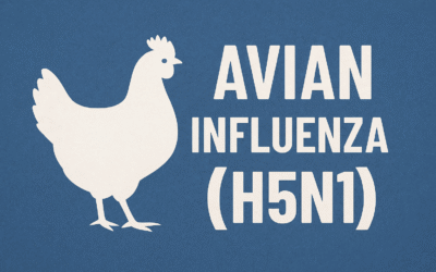 H5N1 Avian Influenza: Current Developments